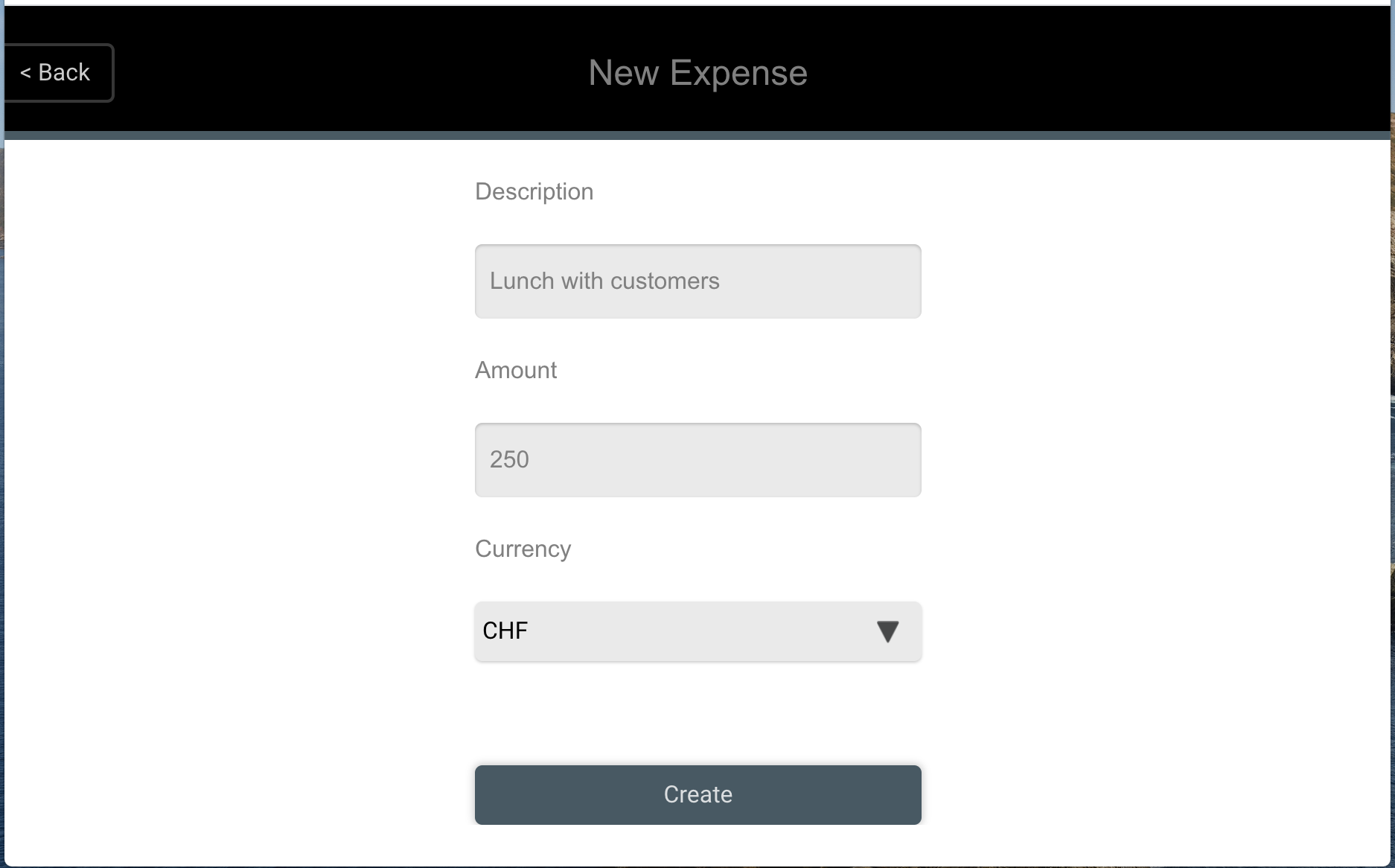 New_Expense_Screen